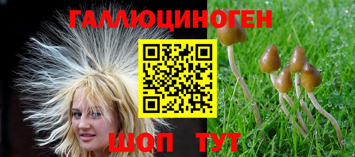 ГАШ  Вход с VPN  Героин  Меф МЯУ МЯУ кристаллы  Кандалакша  Экстази  КОКАИН  МДМА  Марихуана 