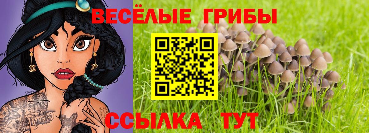Галлюциногенные грибы прущие грибы Кандалакша