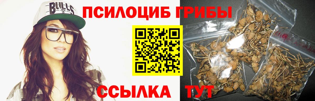 Кандалакша  Галлюциногенные грибы мухоморы  Вход с VPN 
